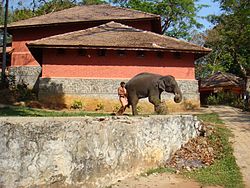 Konni Elephant Training Centre Cage07